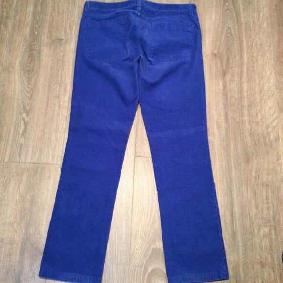 J. Crew Factory Blue Matchstick Courdory 30 short - Picture 2 of 3